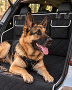 Protection de coffre pour chien avec deux poches, Noir — vue rapprochée