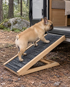Rampe pliable en bois pour chien 70 cm, Modele unique — en situation