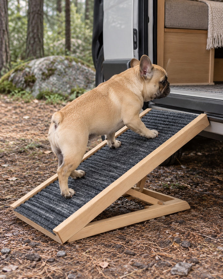 Rampe pliable en bois pour chien 70 cm