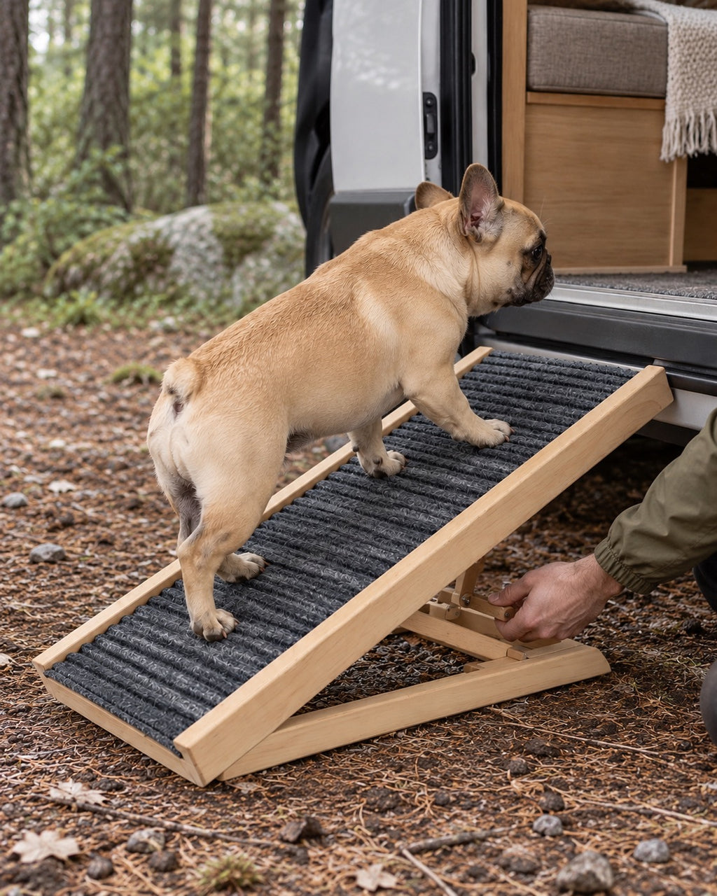 Rampe pliable en bois pour chien 70 cm, Modele unique — moment de vie. Taille présentée : 70 cm.