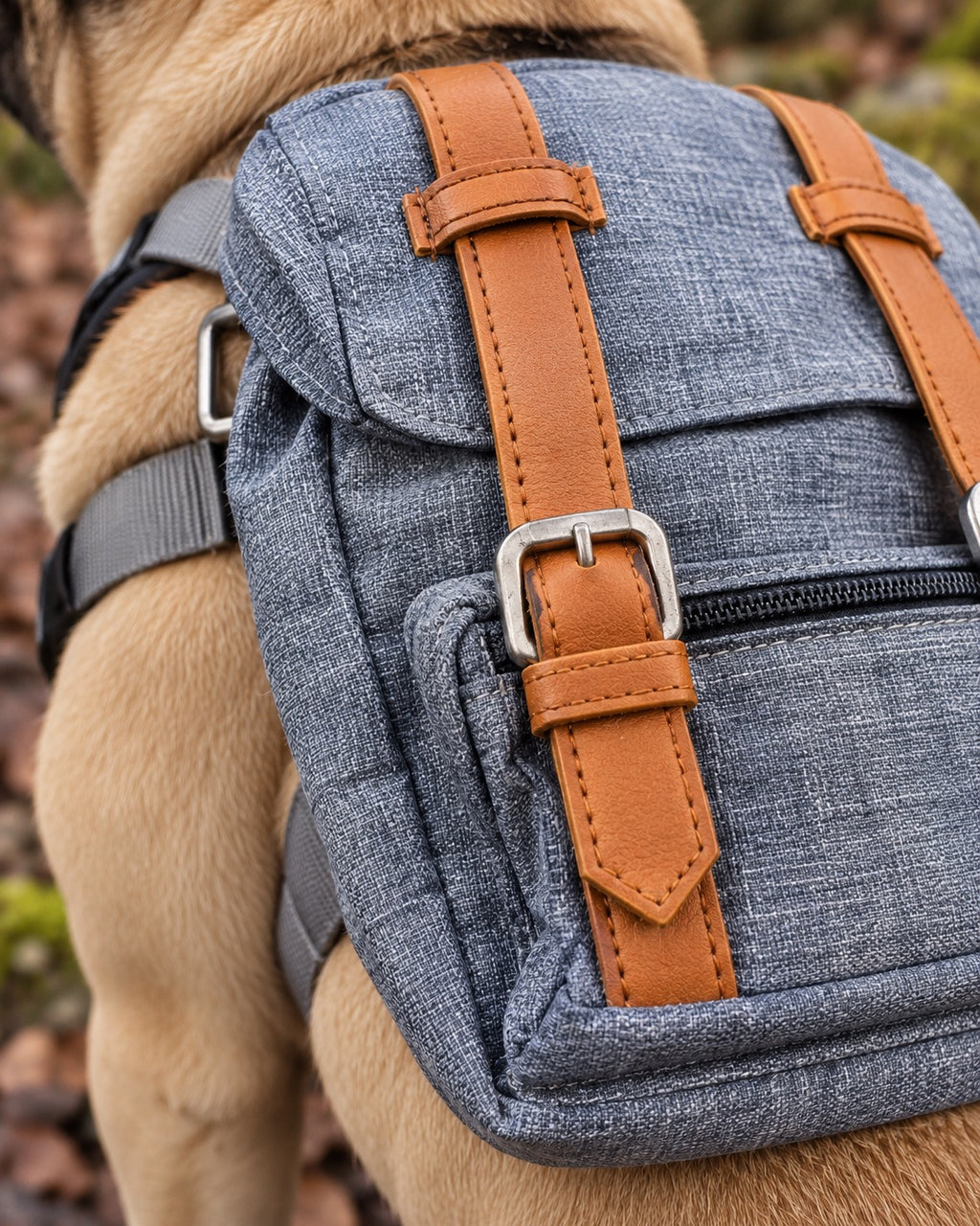 Sac à dos de randonnée pour chien, Bleu — détails et finitions. Taille présentée : gabarit source.