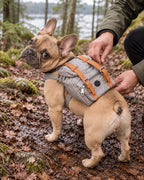 Sac à dos de randonnée pour chien, Gris — moment de vie. Taille présentée : gabarit source.