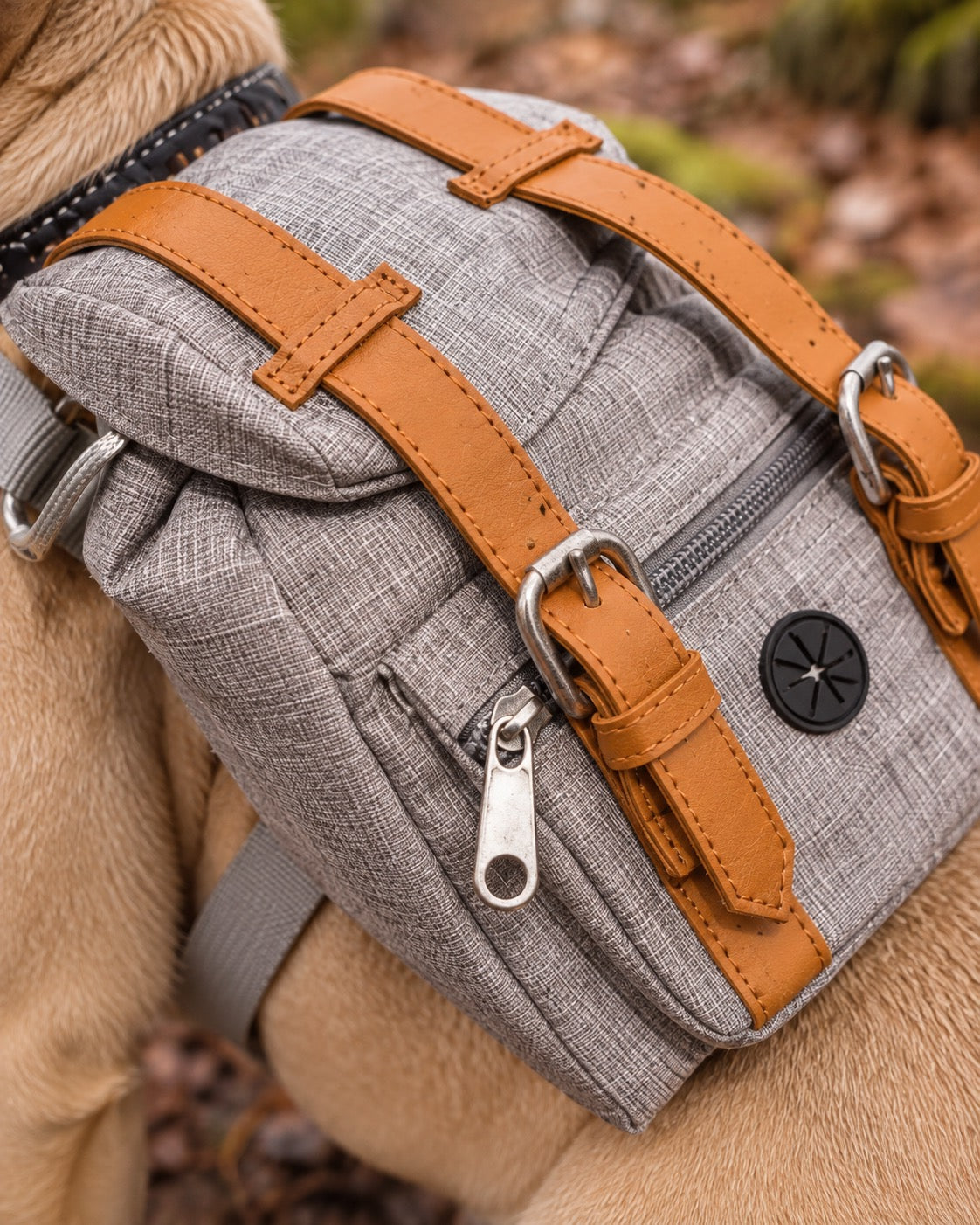 Sac à dos de randonnée pour chien, Gris — détails et finitions. Taille présentée : gabarit source.