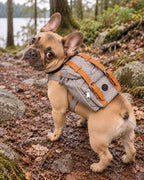 Sac à dos de randonnée pour chien, Gris — vue d’ensemble. Taille présentée : gabarit source.