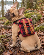Sac à dos de randonnée pour chien, Rouge — vue rapprochée. Taille présentée : gabarit source.