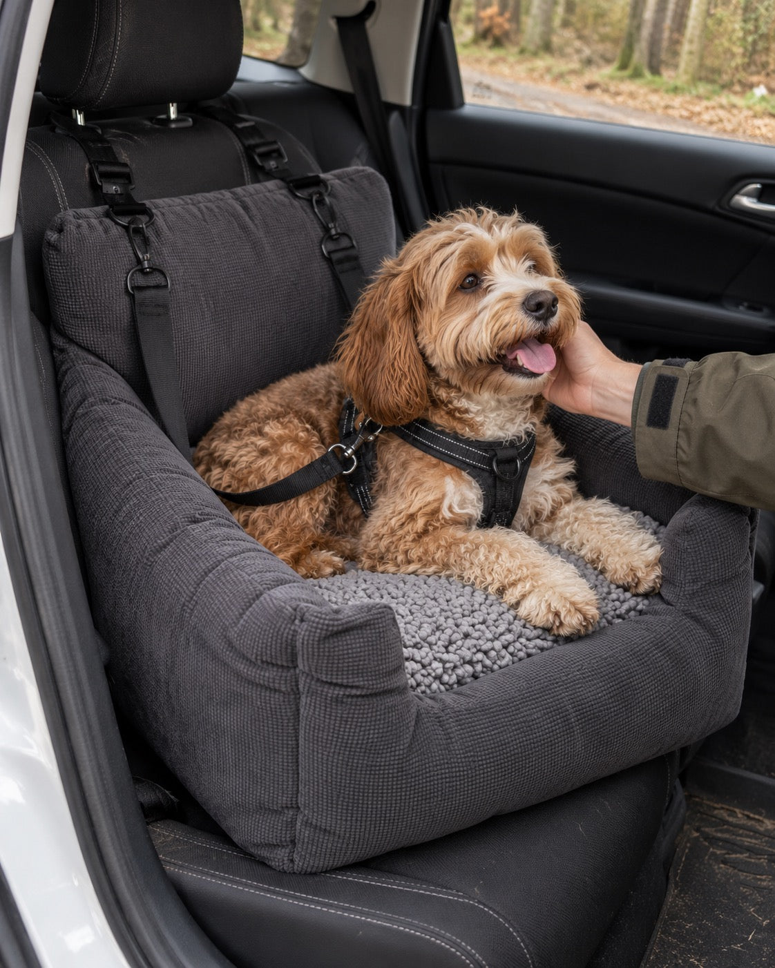 Siège de voiture pour chien — Confort, Gris — moment de vie