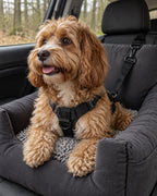 Siège de voiture pour chien — Confort, Gris — vue rapprochée