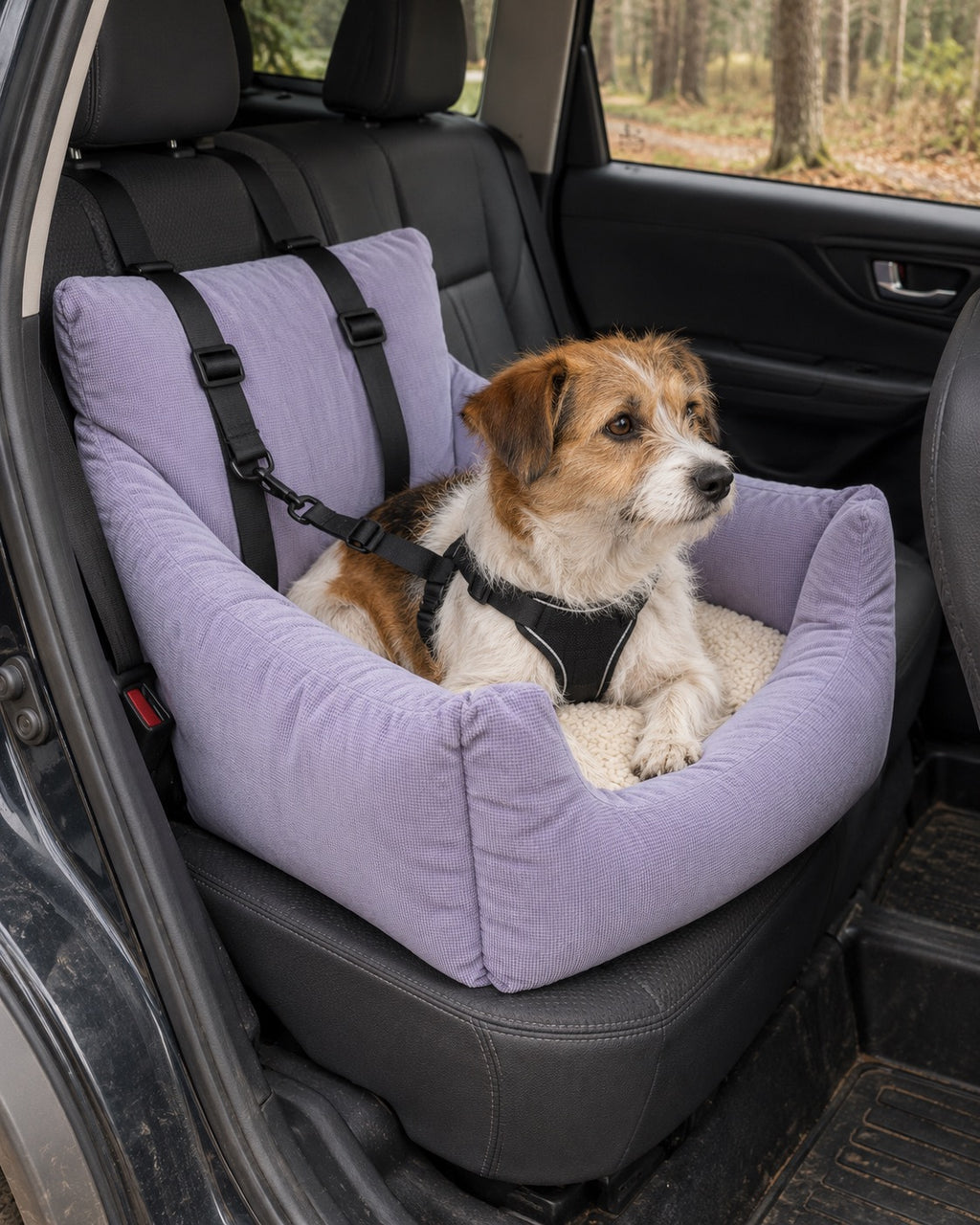 Siège de voiture pour chien — Confort, Violet — en situation