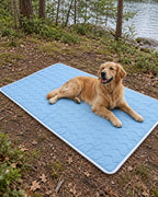 Tapis rafraîchissant pour chien, Bleu clair — vagues 100x150 cm — en situation. Taille présentée : 100 × 150 cm.
