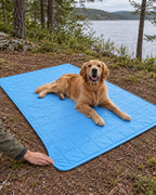 Tapis rafraîchissant pour chien, Bleu — carreaux 100x150 cm — moment de vie. Taille présentée : 100 × 150 cm.
