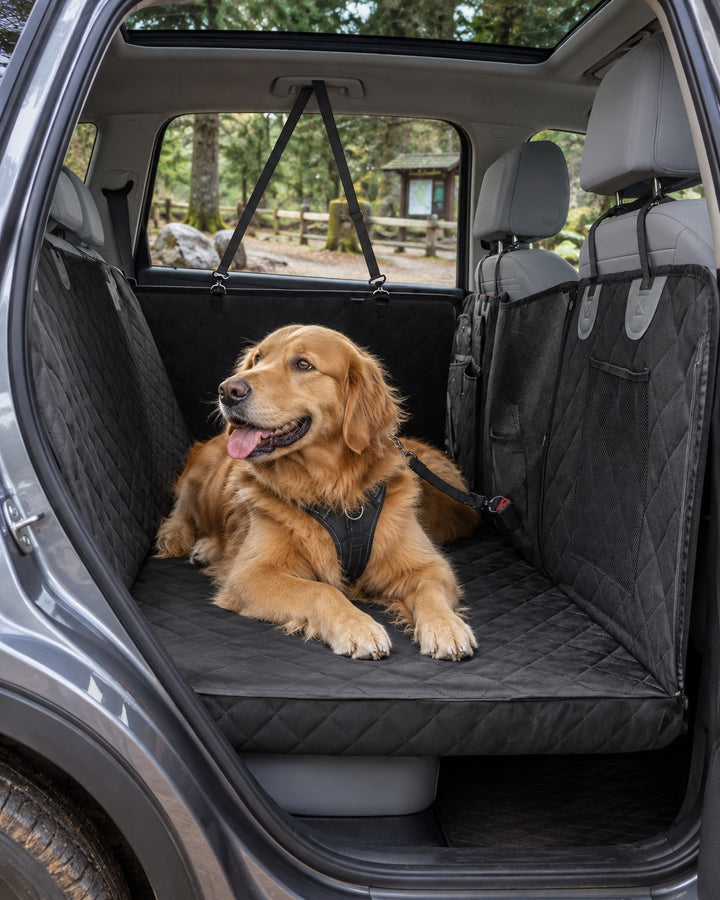 Housse de banquette à fond rigide pour chien