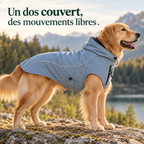 Veste softshell déperlante pour grand chien