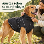 Veste softshell déperlante pour grand chien